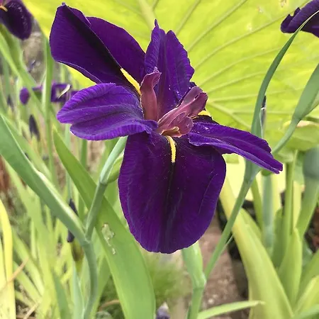 Haciendas Del Valle - Casa San Miguel Lantställe *