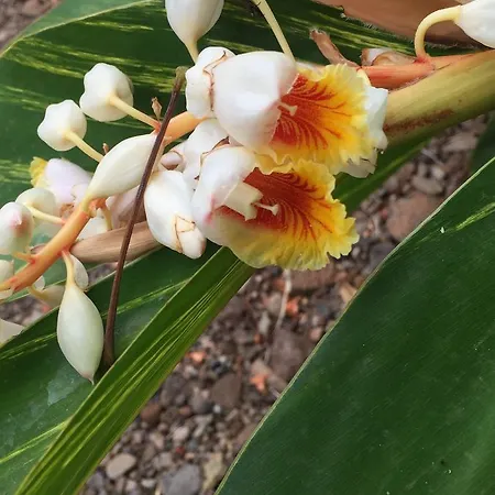 Haciendas Del Valle - Casa San Miguel *