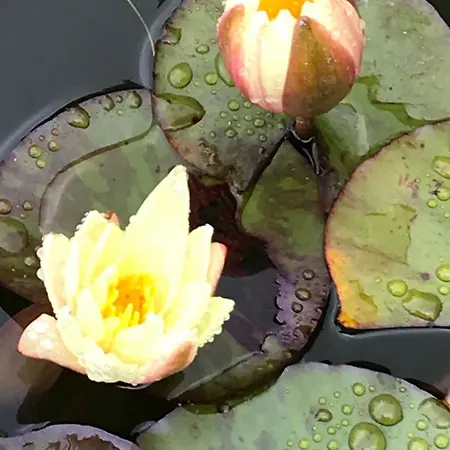 Haciendas Del Valle - Casa San Miguel Valle de Guerra