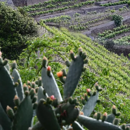 Haciendas Del Valle - Casa San Miguel Casa rural Valle de Guerra