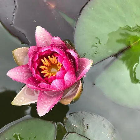 Haciendas Del Valle - Casa San Miguel Valle de Guerra