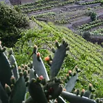Haciendas Del Valle - Casa San Miguel Hétvégi ház Valle de Guerra