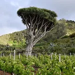 Haciendas Del Valle - Casa San Miguel Hétvégi ház