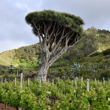Haciendas Del Valle - Casa San Miguel منزل ريفي