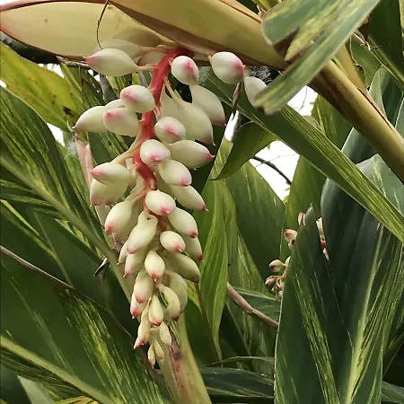 Летний дом Haciendas Del Valle - Casa San Miguel