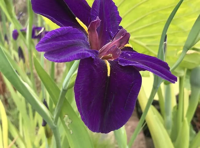 Haciendas Del Valle - Casa San Miguel Hétvégi ház *