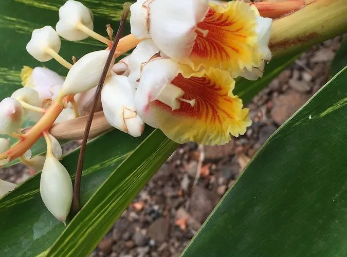 Haciendas Del Valle - Casa San Miguel *