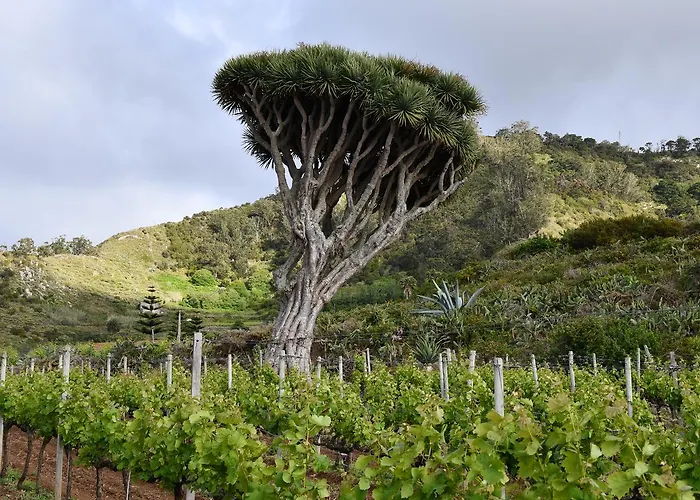 Haciendas Del Valle - Casa San Miguel Gospodarstwo wiejskie