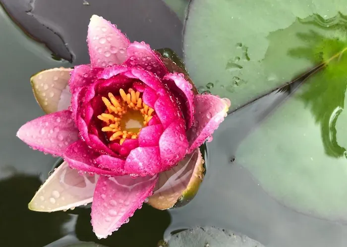 Haciendas Del Valle - Casa San Miguel Valle de Guerra
