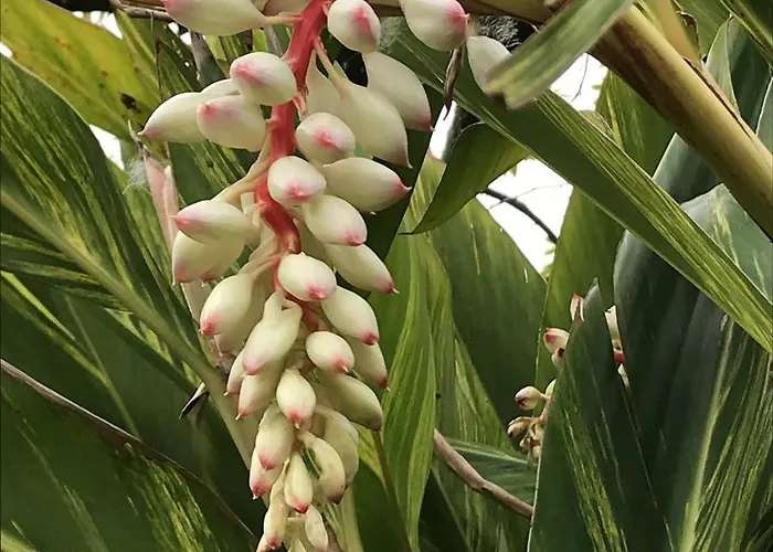 Gospodarstwo wiejskie Haciendas Del Valle - Casa San Miguel